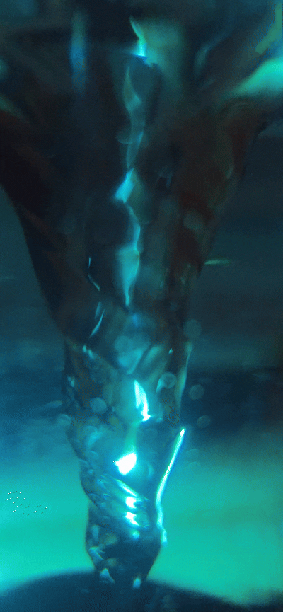 BIOVORTEXER BOTTLE. COHERENT WATER  TECHNOLOGY, BIO IMPELLER cast from Copper and Silver