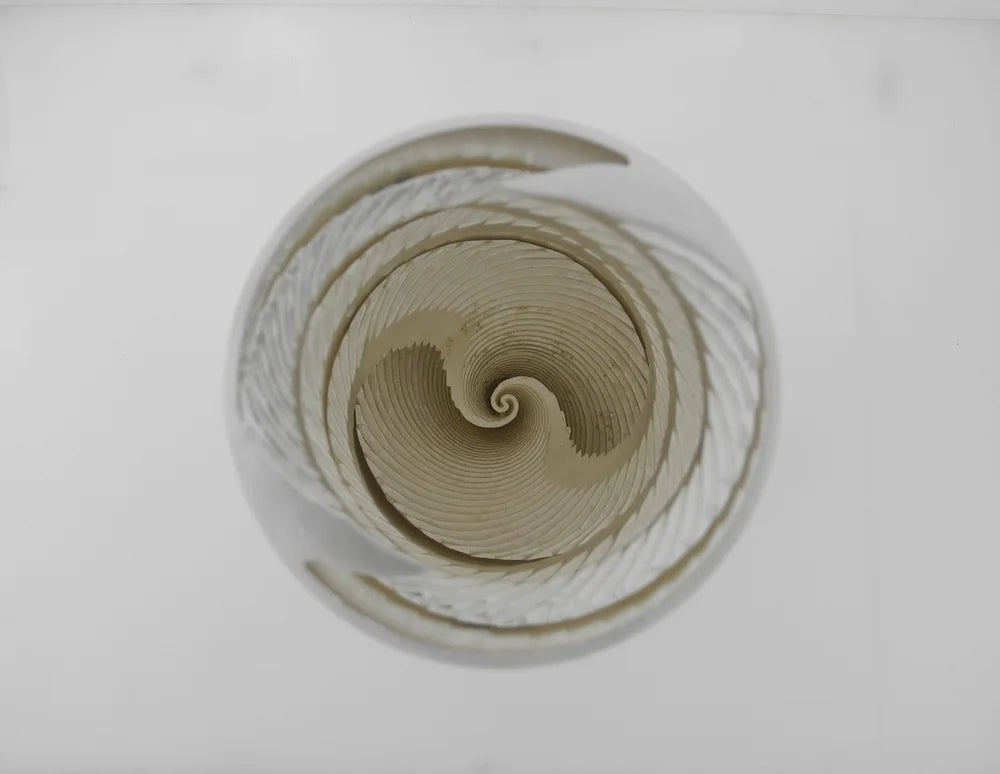 BIOVORTEXER MAX FLOW, 1½-inch model, COHERENT WATER TECHNOLOGY.  Water Filter inset, Traditionally cast with pure copper and silver.